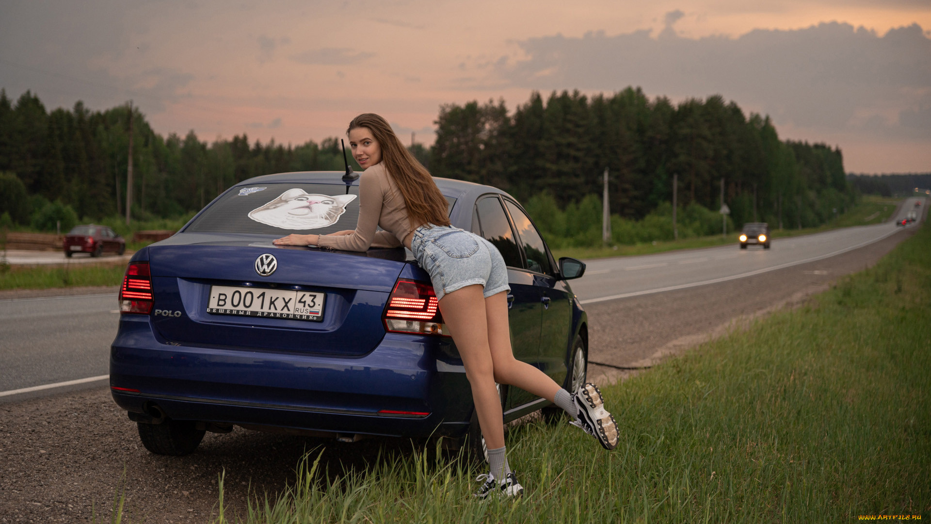 , -  , volkswagen, polo